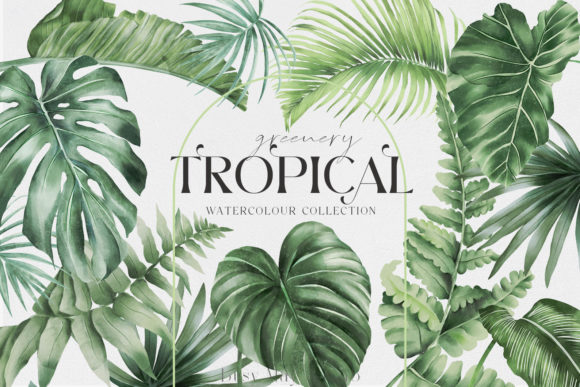 Download Tropical Greenery Jungle Rainforest PNG - Premium Resources