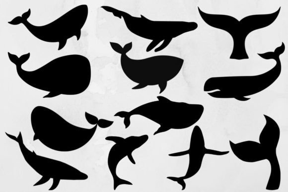 Download Whale Svg Bundle - Bundle Collection