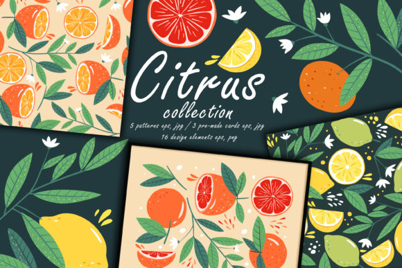 Download Citrus Collection. Botany Modern Pattern - Pattern Collection