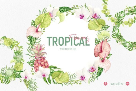 Download Tropical Flowers Set. Wreaths - Tropical Collection