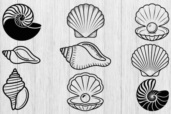 Download Seashell Svg Bundle, Shell Clipart Svg - Bundle Collection