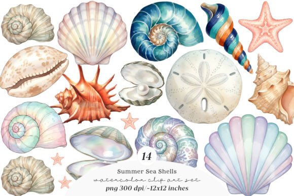 Download Sea Shells Clipart Bundle - Bundle Collection
